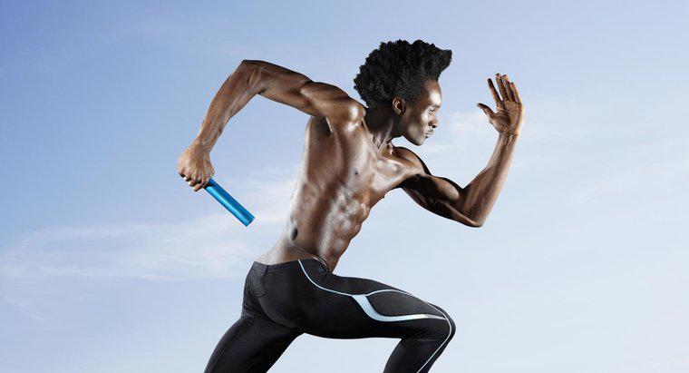 Quali muscoli sono usati nello Sprint?