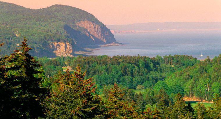 Dove è il Bay of Fundy National Park?