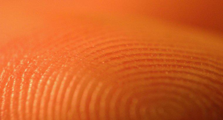 Quanto durano le impronte digitali?