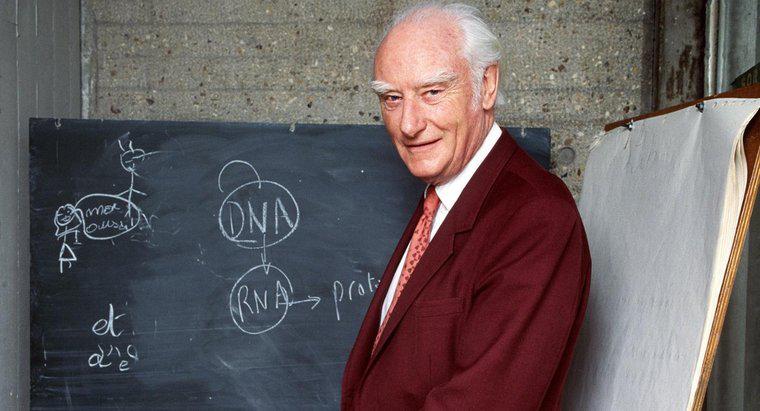 Francis Crick ha usato LSD?