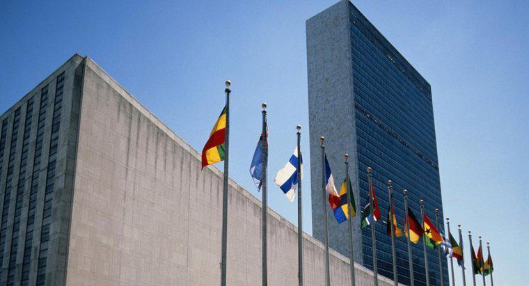 Perché le Nazioni Unite sono state formate?