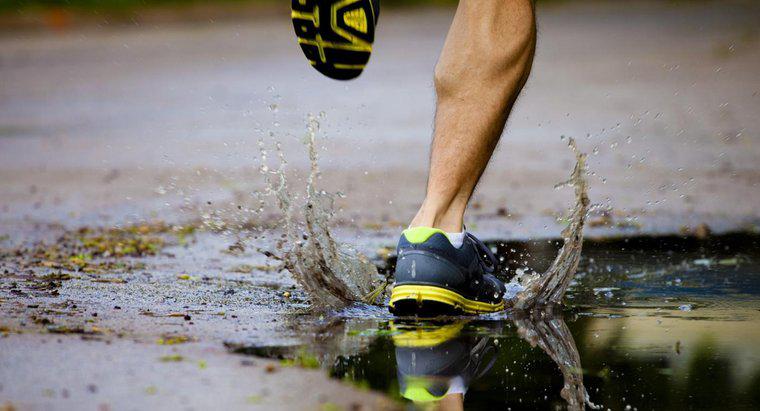 Qual è la velocità media di jogging di un essere umano?