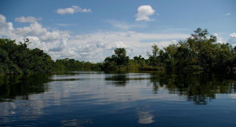 Quali sono gli usi del Rio delle Amazzoni?