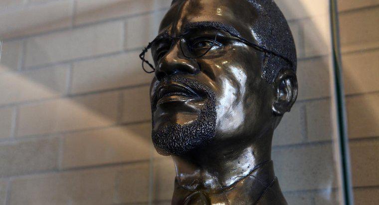 Per cosa è famoso Malcolm X?