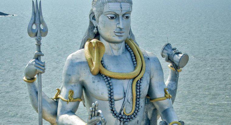 Perché Shiva ha quattro braccia?