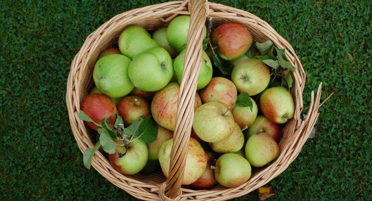 Quando inizia la stagione del raccolto di mele?