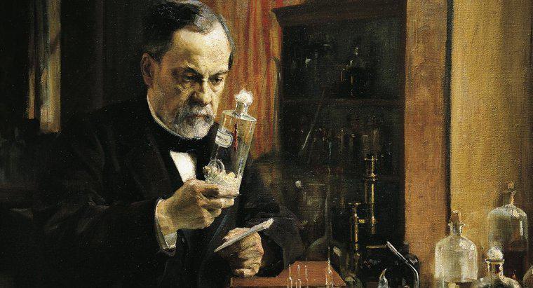 Louis Pasteur aveva qualche fratello o sorella?