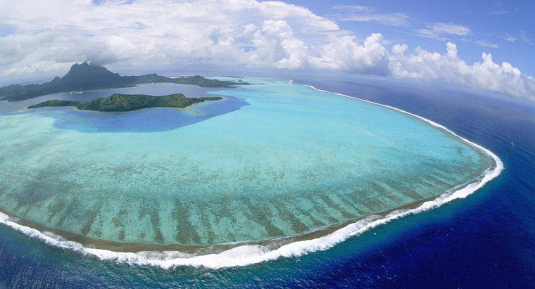 Come si chiama Coral Island?