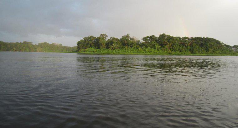 Perché il Rio delle Amazzoni è importante?