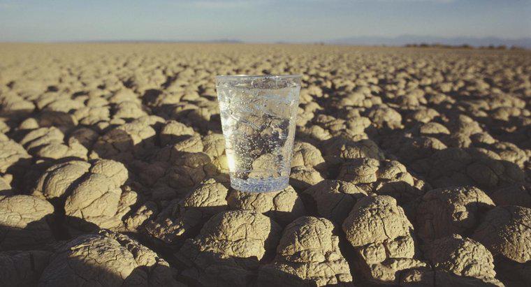 Quanti giorni può un uomo sopravvivere senza acqua?