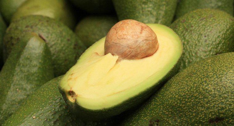 Quante calorie ci sono in piccoli avocado?