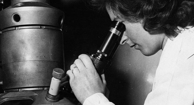 Chi ha inventato il microscopio elettronico?