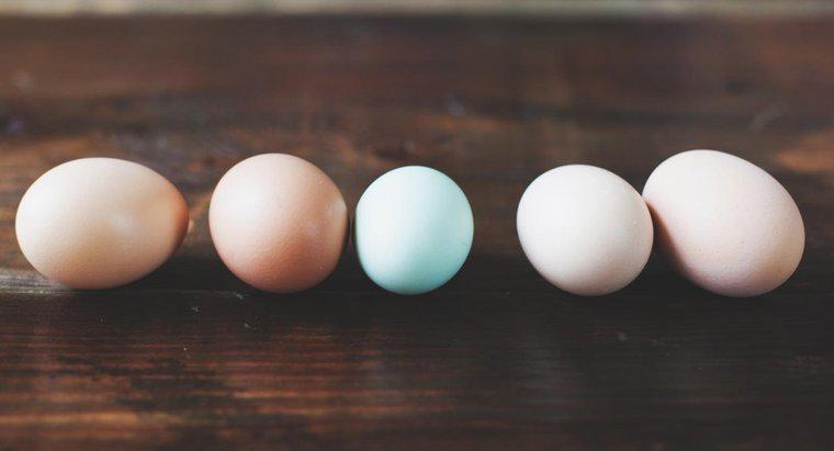 Quanto costa un uovo pesare?