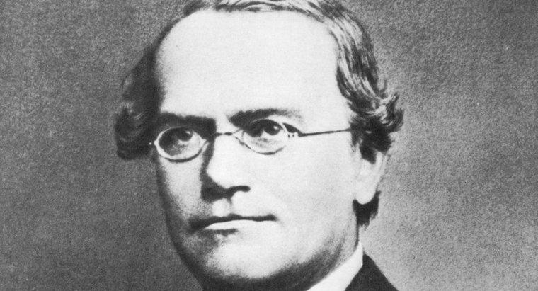 Perché Gregor Mendel è chiamato il padre della genetica?