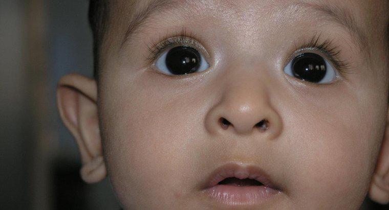 Gli occhi crescono dopo la nascita?