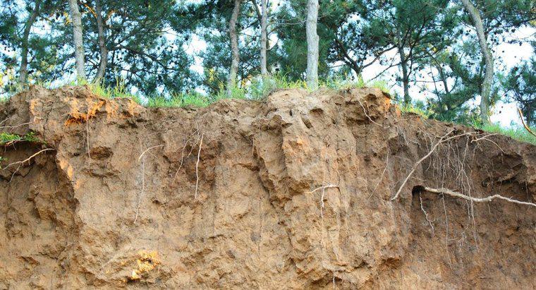 Cos'è l'erosione del suolo?