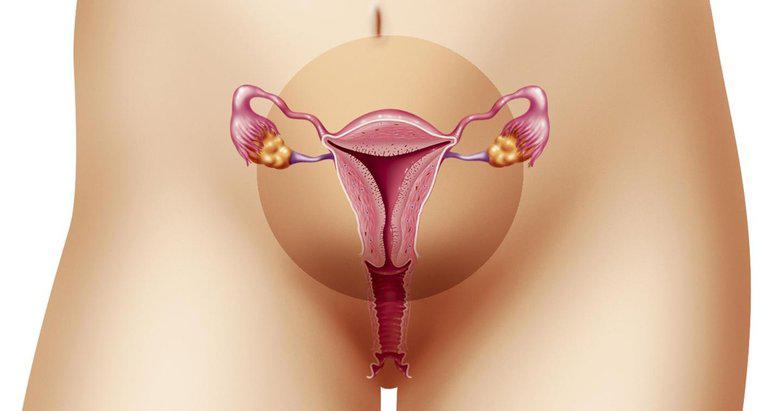 Qual è l'intervallo normale per lo spessore dell'endometrio?