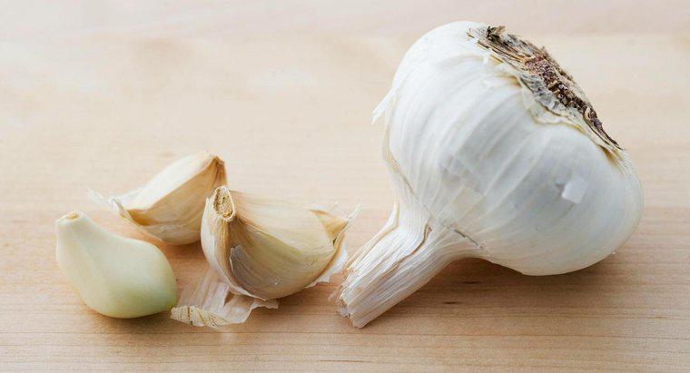 Qual è il modo migliore per conservare gli spicchi d'aglio freschi?