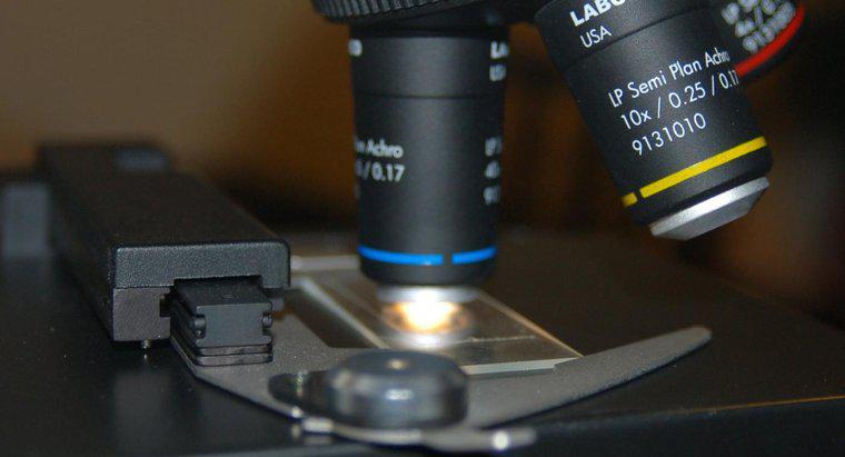 Cos'è un diaframma su un microscopio?