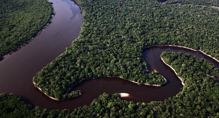 Quanto è vasto il Rio delle Amazzoni?