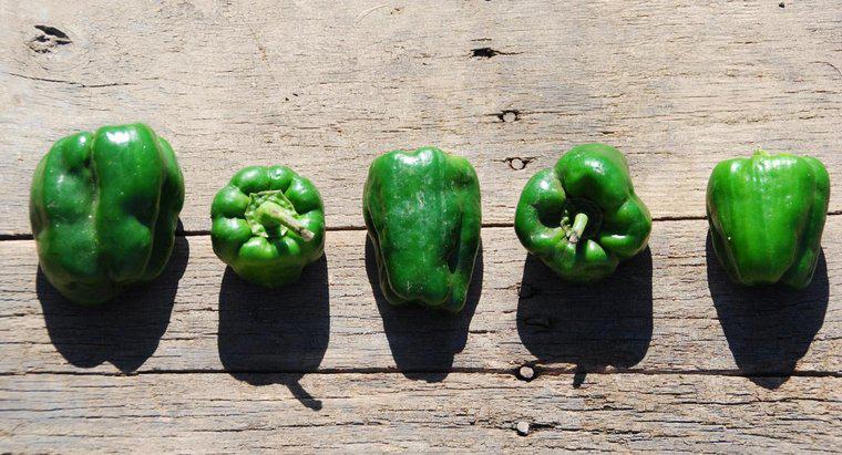 Come coltivate i peperoni verdi?