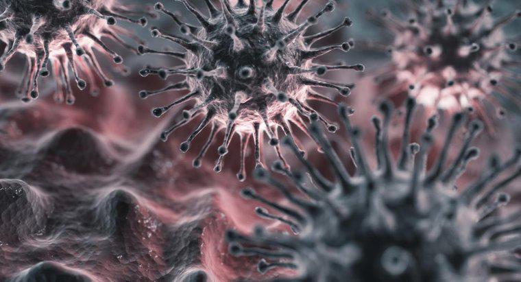 Qual è il periodo di incubazione per il virus dell'influenza?