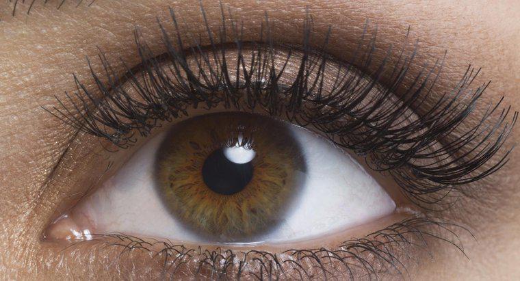 Quale percentuale della popolazione ha gli occhi marroni?