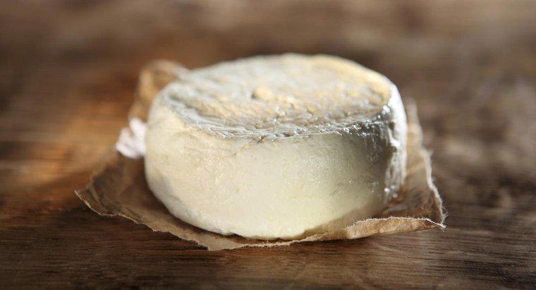 Quanto può durare la crema di formaggio?
