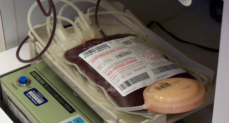 Cosa succede se il sangue è troppo sottile?