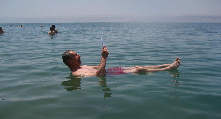 Qualcosa vive nel Mar Morto?