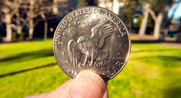 Come si scopre il valore di un dollaro d'argento 1924?