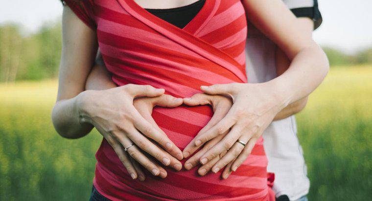 Dove puoi visualizzare le foto di gravidanza?