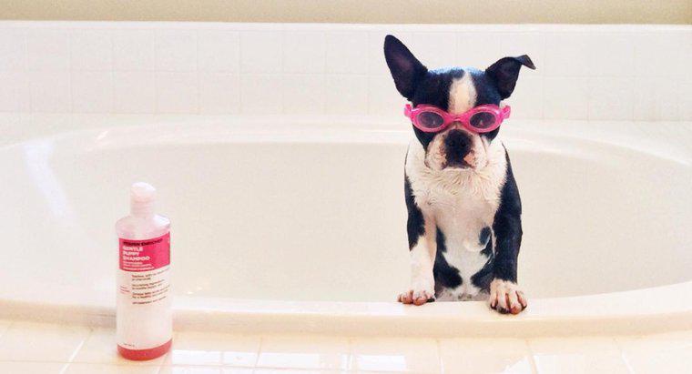 Si può usare Baby Shampoo su un cane?