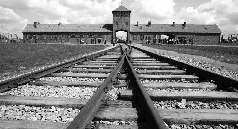 Dove si è svolto l'Olocausto?