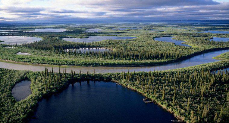 Qual è il fiume più lungo in Canada?