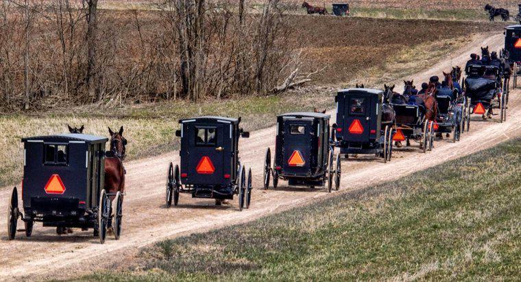 Gli Amish hanno numeri di previdenza sociale?