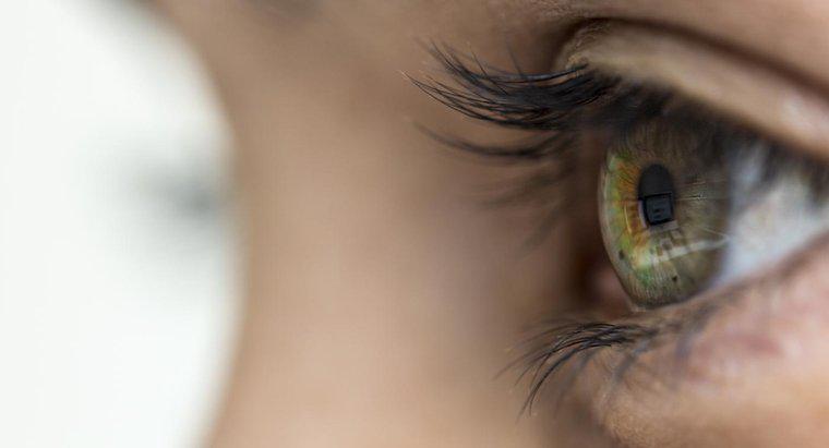 Quali sono i sintomi di herpes zoster nell'occhio?