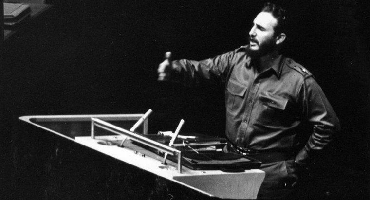Che cosa ha fatto Fidel Castro a essere significativo?