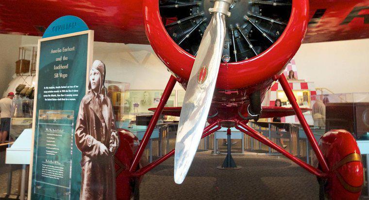 Quali sono alcuni fatti su Amelia Earhart?