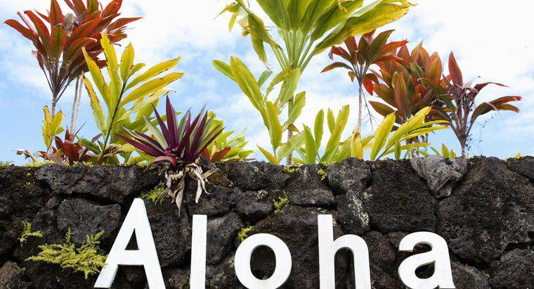 Quante lettere ci sono nell'alfabeto hawaiano?
