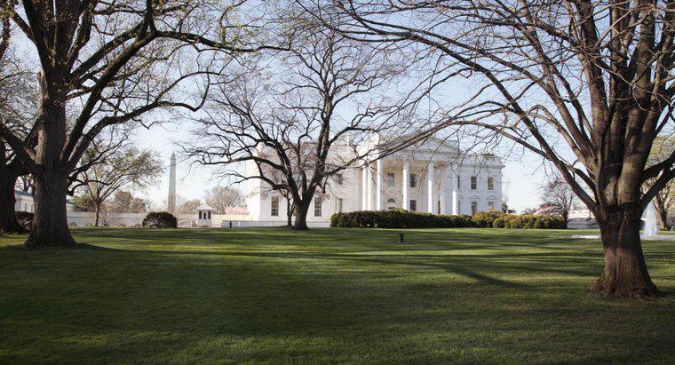 Quali presidenti non hanno vissuto alla Casa Bianca?