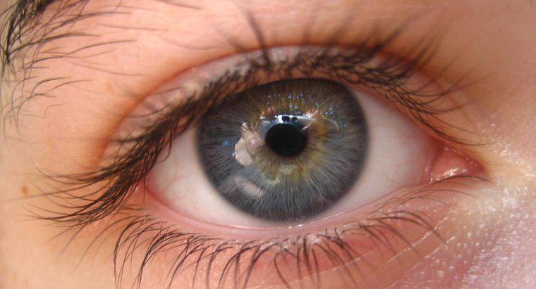 Quanto sono rari gli occhi grigi?