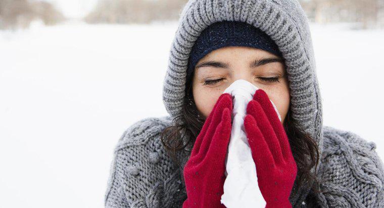 Qual è il miglior trattamento per un raffreddore?