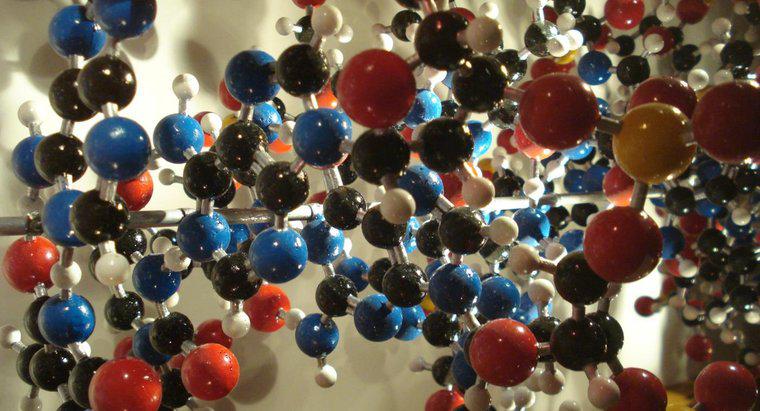 Cosa contiene i nucleotidi in un unico filone di DNA?