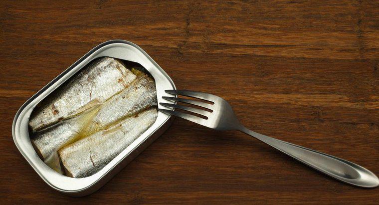 Qual è la durata di conservazione delle sardine in scatola?