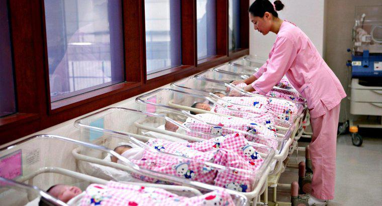 Qual è la più alta quantità di bambini nati in una singola nascita?