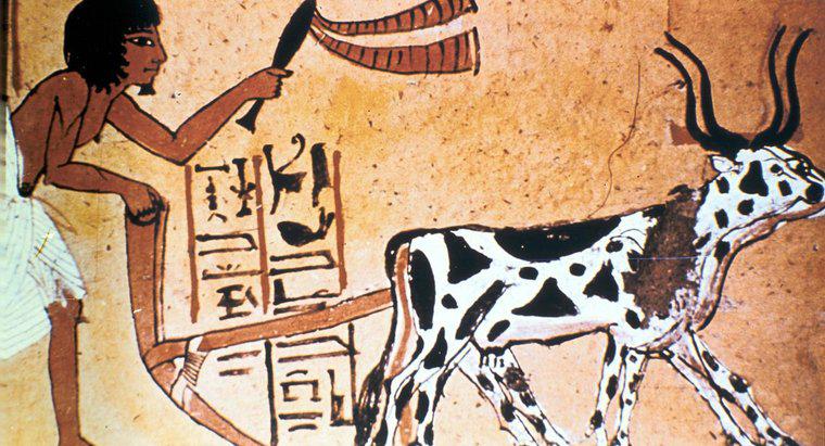 Che cosa ha fatto crescere gli antichi egizi?