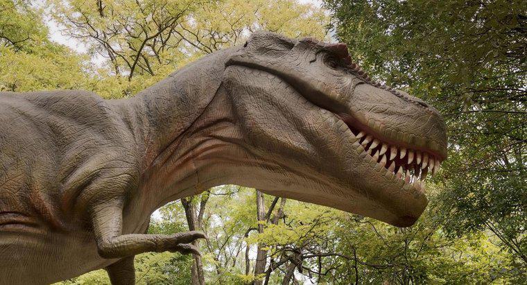 Qual è il parente più vicino del Tyrannosaurus Rex?