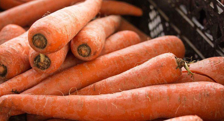 Le carote fresche possono essere congelate?