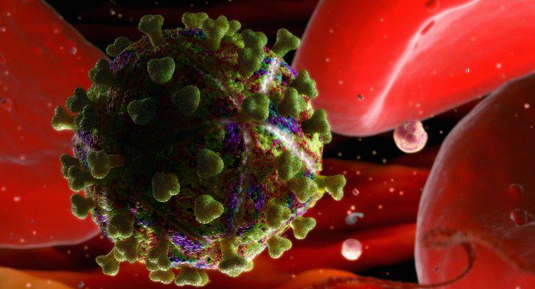 Quanto tempo può sopravvivere l'HIV al di fuori del corpo umano?